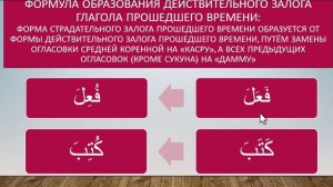 Грамматика АЯ3(5243)