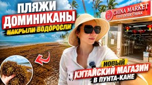 Пляжи Доминиканы накрыли водоросли | Новый китайский магазин в Пунта-Кане