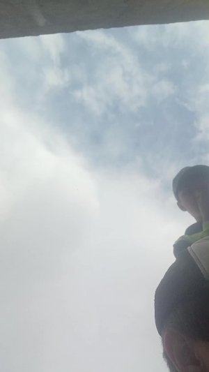 Сладвдв