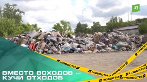 Вместо всходов — кучи отходов. Возле СНТ «Металлург» выросла огромная несанкционированная свалка