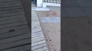 Прогулка по набережной им. Горького в Евпатории.