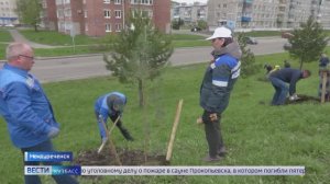 Горняки Распадской угольной компании приняли участие в акции «Сад памяти»