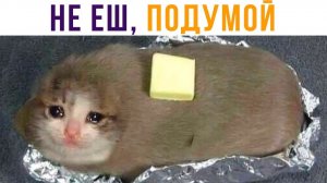 НЕ ЕШ, ПОДУМОЙ...) Приколы