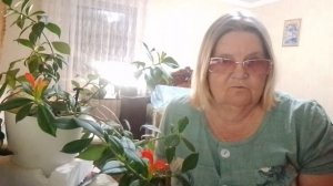 . Немного о клубнике  Какой сорт выбрать  Как облегчить свой труд