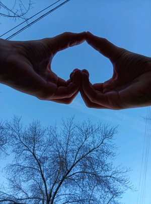 𓆩❤𓆪Утренняя трансляцияଘ😇ଓ