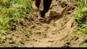 Стихийные бедствия. Природные катастрофы.