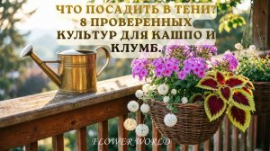 Тень — не приговор! 8 растений, которые цветут ярче, чем на солнце.