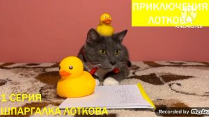 Приключения лоткова - 1 серия Шпаргалка Лоткова