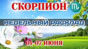 СКОРПИОН♏ Недельный расклад 01-07 ИЮНЯ /Таро Прогноз/Сферы жизни