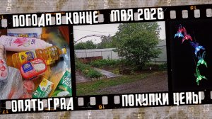 Жизнь на юге. У природы нет плохой погоды. Покупки, цены.