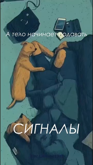 Почему организм постоянно устает?😮