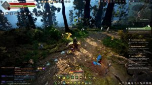 Black Desert ч.27 ПВП Арена Солларе лучник