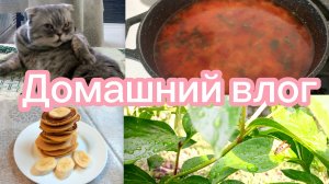 ВАРЮ БОРЩ, БОЛТАЮ О САМООЦЕНКЕ 🤗/МОЁ ОТНОШЕНИЕ К ХЕЙТУ 👹