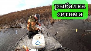 Весенняя рыбалка на сети: много рыбы, но ловим только пелядь.