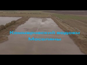 Коммерческий водоем «Масоляны» место проведения FLAT FEEDER CUP «CARPAREA-2020»