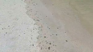 Пляж во 2 микрорайоне Ейска к началу сезона