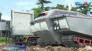 Как современные технологии развивают виноградарство Севастополя