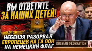 💥ВЫ ОТВЕТИТЕ ЗА НАШИХ ДЕТЕЙ! НЕБЕНЗЯ РАЗОРВАЛ ЕВРОПЕЦЕВ НА ГА ООН НА НЕМЕЦКИЙ ФЛАГ