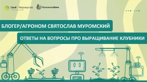Блогер/агроном Святослав Муромский: ответы на вопросы про выращивание клубники