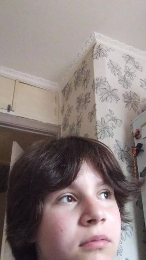 я вернулась