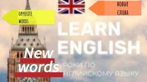 Английский язык. Новые слова.opposite words