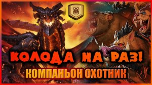 ТАКОМУ ЖИРУ ПОЗАВИДУЕТ ДАЖЕ ДРУИД | Компаньон Хант | Колода на раз