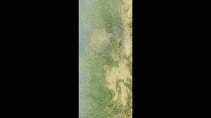 влог: последние дни на море/ собираем чемодан