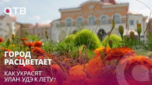 Город расцветает. Как украсят Улан-Удэ к лету?