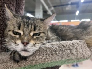 Парк который я построил.