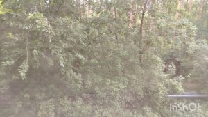 273).29.05.26.г.Моя городская жизнь 👩🍀🍀🍀.читаю цытаты о жизни.