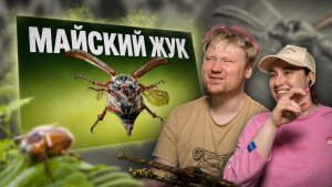 Майский жук Подземный монстр умеющий летать РЕАКЦИЯ