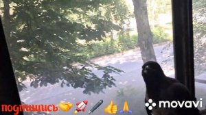 🚀🖋️БОЛЬШАЯ БЕДА СЛУЧИЛАСЬ,ДУША НА РАЗРЫВ 💃🔥МОИ БУДНИ 🚀🖋️
