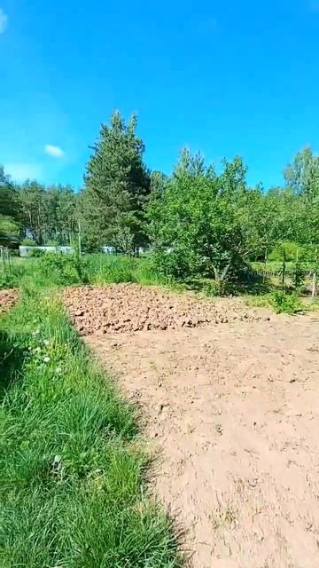 VID_20260529_093038 смотреть онлайн