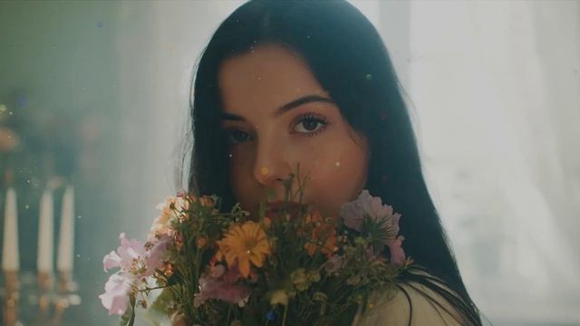 кустики.mp4 смотреть онлайн