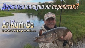 Держится ли щука на перекатах...