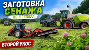 Сенаж клевера. Второй укос.