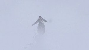 Самый ценный груз