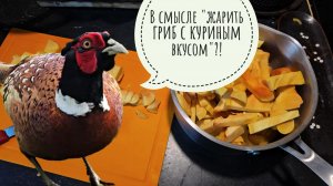 Готовлю и пробую курвиный гриб - трутовик серно-жёлтый. Куры в шоке, наверное