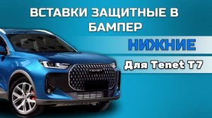 Вставки защитные в нижнюю решетку переднего бампера Tenet T7