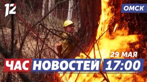 Лесной пожар / Торжественная отправка призывников / Палаточный слёт. Новости Омска