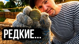 Говорили искать под первыми венцами — и я нашёл РЕДКИЕ монеты в старом доме!