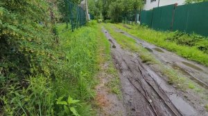 Жду детей, испекла пирог.
заморозков не было и не будет.