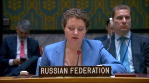 Выступление А.М.Евстигнеевой по мотивам голосования по резолюции СБ по южносуданским санкциям