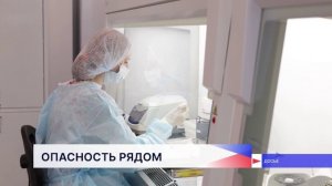 Шесть человек в Нижегородской области заразились болезнью Лайма после укусов клещей