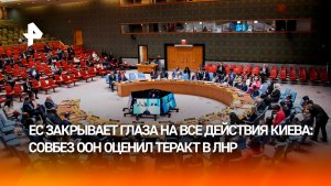 Запад пытался оправдать Киев за теракт в Старобельске на заседании Совбеза ООН