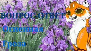 вопрос-ответ/#Wcue/#Огненная Гроза/