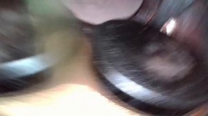 151037
