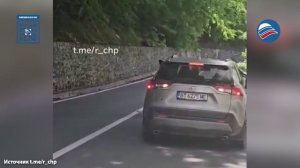 Жуткие кадры: нападение медведя на человека попало на видео