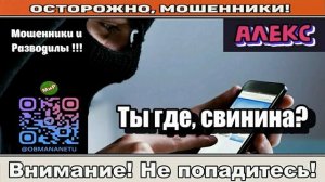 Мошенники звонят по телефону _ Ты где, свинина_ ( сборник ).