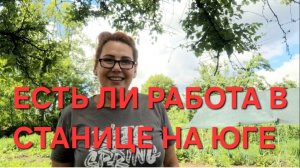 1264 Теперь Только нужно ловить момент. Есть ли работа в Станице.